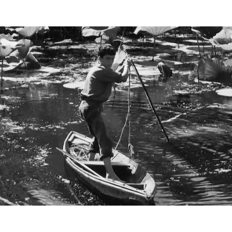 ルイジアナ物語 Hmv Books Online Tced 4500