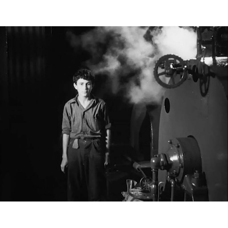 ルイジアナ物語 Hmv Books Online Tced 4500